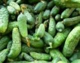 Comment préparer des cornichons ?