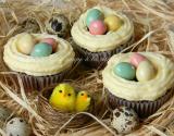 Easter cupcakes (cupcakes de Pâques)