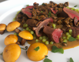 Pigeonneau aux girolles et lentilles