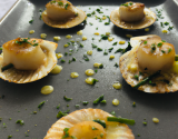 Coquilles Saint-Jacques sur lit de poireau et Noilly