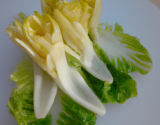 Endive surprise