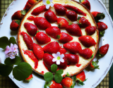 Cheese-cake printanier aux fraises