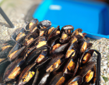 Papillote de moules de bouchot au barbecue