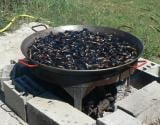 Les moules à la crème et légumes du Sud