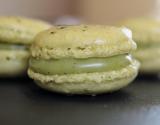 Macarons au thé vert matcha