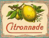 Citronnade économique