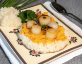 Coquille saint jacques à la bretonne sur son lit de riz pilaf