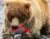 9 ID pour ne pas rentrer bredouille de la pêche cet été