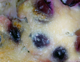 Clafoutis des vendanges