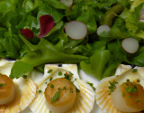 Noix de coquilles Saint Jacques dorées, marinade croquante de légumes, salade d'herbes tendres