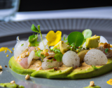 Carpaccio de noix de saint jacques et mousse d'avocats