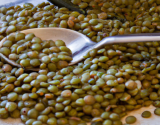 Lentilles vertes du Puy