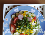 Salade du printemps