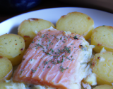 Gratin de pommes de terre au saumon