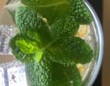 Perrier mint