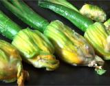 Fleurs de courgettes farcies