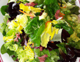 Salade vielle ferme