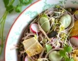 Salade printanière de nouilles soba aux graines germées, fèves et tofu sauté