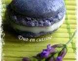 Macarons à la lavande