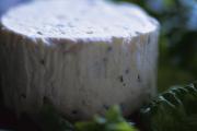 Fromage aux fines herbes