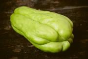 Chayote