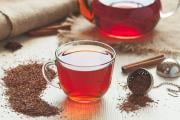 Rooibos