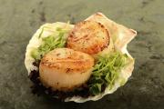 Coquille Saint-Jacques