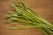 Attention aux asperges des bois : les autorités sanitaires alertent sur un risque d’intoxication
