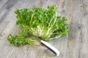 Salade frisée