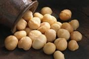 Noix de macadamia