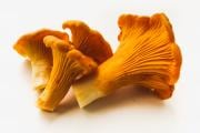 Girolle