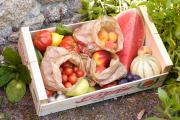 "Tu te sens obligée de payer" : l’UFC-Que Choisir alerte sur la nouvelle arnaque aux fruits et légumes qui fait de nombreuses victimes !