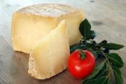 Pecorino