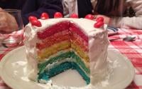 Rainbow cake Frenchie