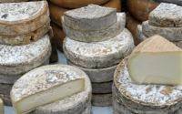 Rappel de fromages : ce Saint-Nectaire doit doit être rapporté de toute urgence