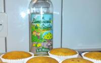 Cup-cakes limoncello et graines de pavot