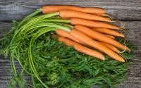 7 choses délicieuses à faire avec vos fanes de carottes