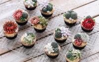 Vous allez fondre devant ces adorables terrarium cakes