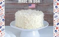 Gâteaux Made in USA de Sarah Schmidt