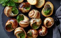 Comment cuire des escargots ?