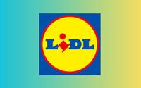Lidl fait sensation avec cette fabrique à glaçons Silvercrest qui va révolutionner votre été