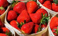 Vos fraises moisissent rapidement ? Voici comment retarder le phénomène avec ces astuces