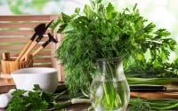 Ces herbes aromatiques que l'on devrait toujours avoir dans le jardin ou sur son balcon