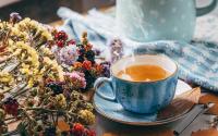 Une nutritionniste partage les 5 thés à avoir absolument chez soi pour se faire du bien !
