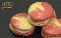 Macarons Bicolores