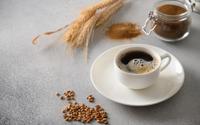 Chicorée, orge, lupin... Connaissez-vous les alternatives au café ?