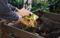 Quels aliments ne faut-il surtout pas mettre dans son compost ?