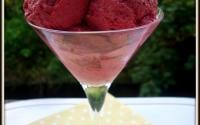 Sorbet express à la framboise