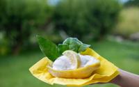 Ce dessert est aussi bon que beau ! Un sorbet citron-fraises présenté directement dans le fruit