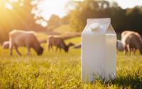 Votre brique de lait peut devenir plus utile et efficace qu’une pince à linge pour fermer vos paquets de pâtes ou de riz !